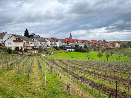 23-03-13 10-33-04 4820